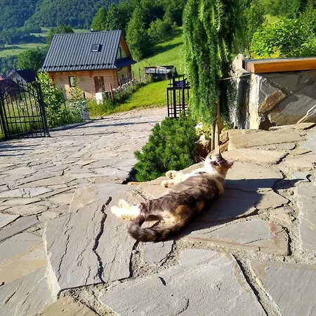 Na Brzegu