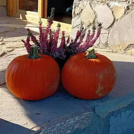 Appartamento Na Brzegu Szczawnica