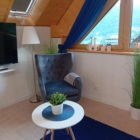 Na Brzegu Apartment Szczawnica